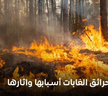 حرائق الغابات أسبابها واثارها