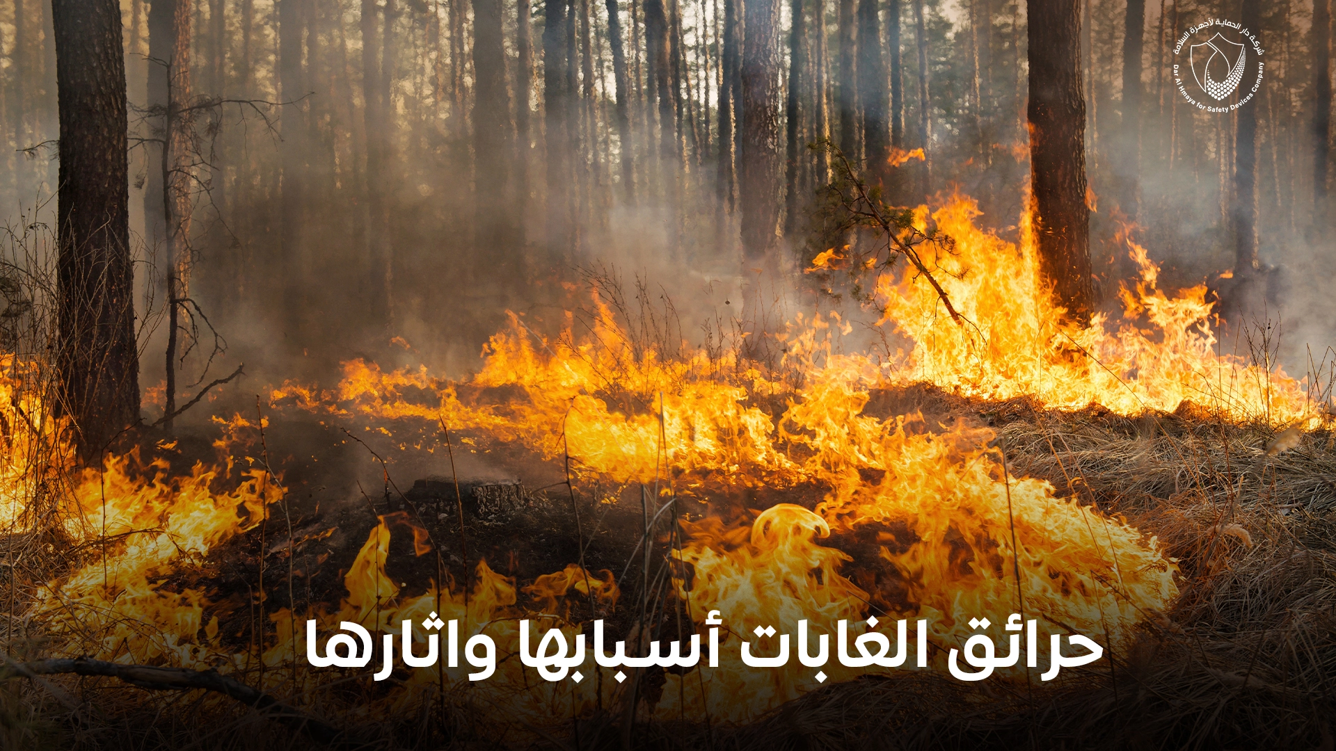 حرائق الغابات أسبابها واثارها