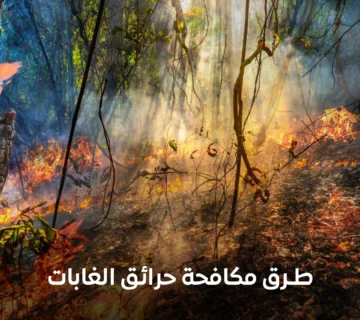 طرق مكافحة حرائق الغابات