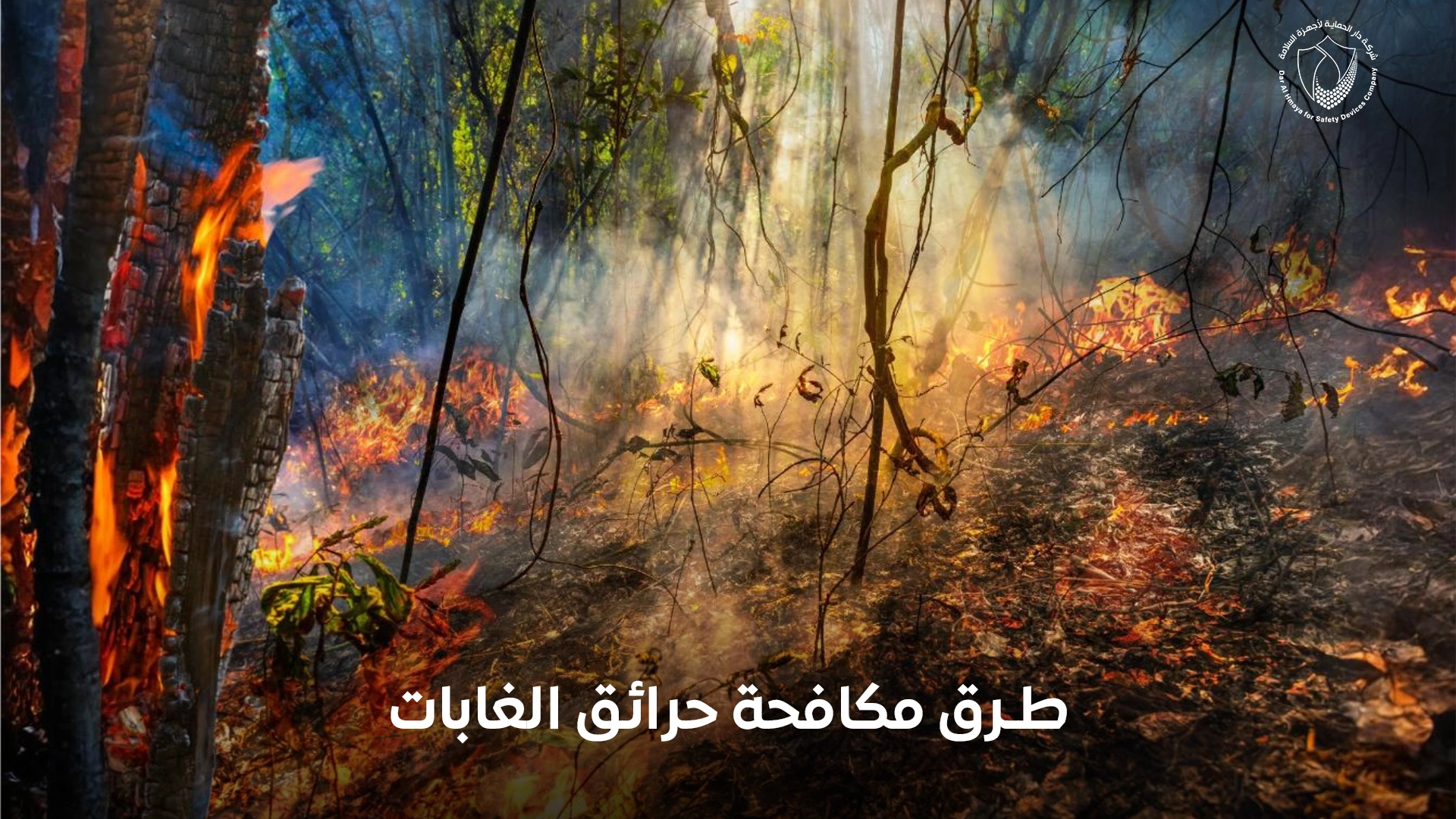 طرق مكافحة حرائق الغابات